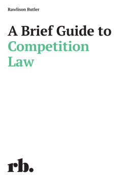 A Brief Guide to Competition Law