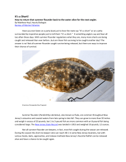 It`s a Short Fishing Article - Division of Fish and Wildlife