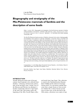Biogeography and stratigraphy of the Mio