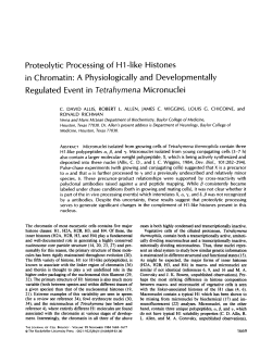 Proteolytic Processing of H l-like Histones in Chromatin" A