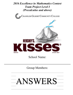 Level I Team Project Solutions 2016