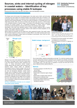 Sources, sinks and internal cycling of nitrogen in coastal waters