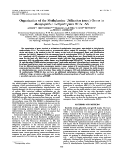 Organization of the Methylamine Utilization (mau) Genes in