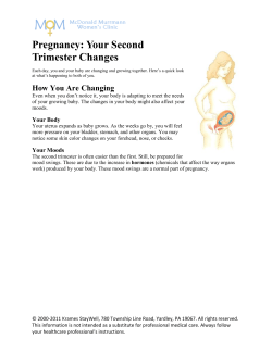 Pregnancy: Your Second Trimester Changes