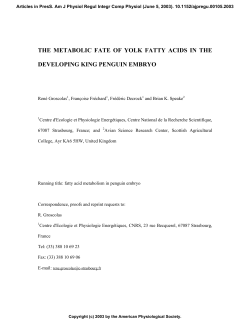 the metabolic fate of yolk fatty acids in the developing king penguin