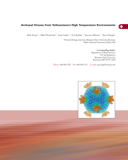 Archaeal Viruses from Yellowstone`s High Temperature Environments