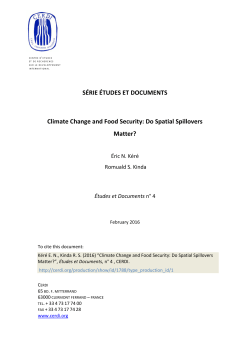 Climate Change and Food Security: Do Spatial Spillovers