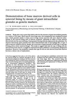 Demonstration of bone marrow derived cells in synovial lining by