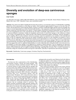 Diversity and evolution of deep