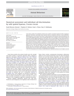 Numerical assessment and individual call discrimination by wild