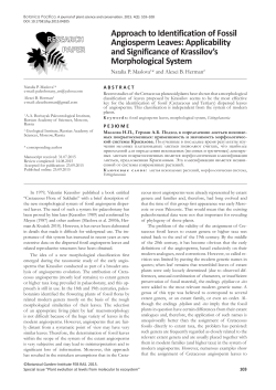 Approach to Identification of Fossil Angiosperm Leaves: Applicability