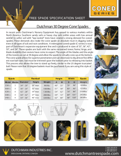 Dutchman 30 Degree Cone Spades