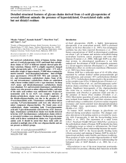 Detailed structural features of glycan chains