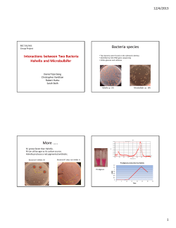 Bacteria species More &hellip;..