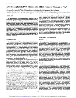 A Cyclophosphamide/DNA Phosphoester