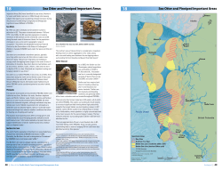 Sea Otter and Pinniped Important Areas
