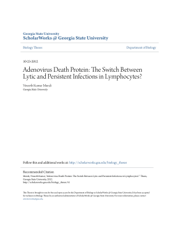 Adenovirus Death Protein: The Switch Between Lytic and Persistent
