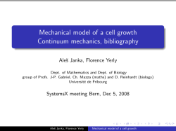 Mechanical model of a cell growth Continuum