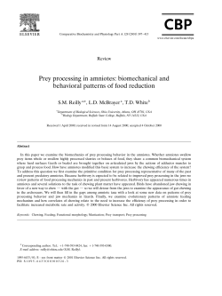 Prey processing in amniotes: biomechanical and behavioral