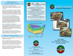 FREQUENTLY ASKED QUESTIONS FIRST THINGS