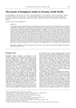 Garrigue C., Aguayo, A., Amante-Helweg, V.., Baker, C.S., Caballero