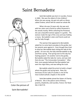 Saint Bernadette Fun Pack