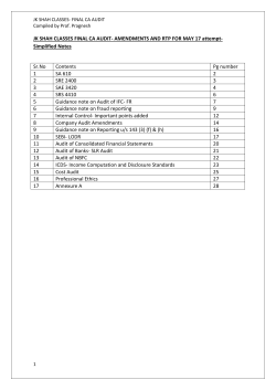 Audit Amendment May 17 notes