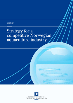 Strategy for a competitive Norwegian aquaculture