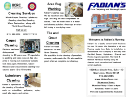 Cleaning Services Carpet Cleaning Upholstery Cleaning Area Rug