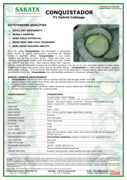 conquistador - McDonalds Seeds