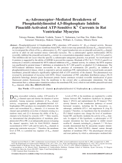 1-Adrenoceptor–Mediated Breakdown of Phosphatidylinositol 4,5