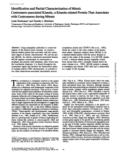 Identification and Partial Characterization of Mitotic Centromere
