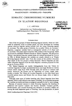 somatic chromosome numbers in `elatior - Wageningen UR E