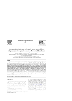 Aggregate distribution and soil organic matter under