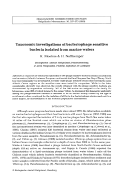 Taxonomic investigations of bacteriophage sensitive bacteria