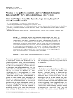 here - Rhino Resource Center