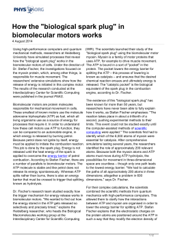 How the "biological spark plug" in biomolecular motors