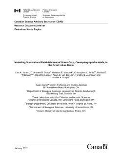 Complete PDF document