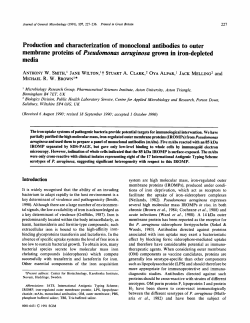 Production and characterization of monoclonal