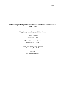 Zhang 1 Understanding the Ecological Impacts of Invasive Tunicates