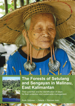 The forests of Setulang and Sengayan in Malinau, East Kalimantan