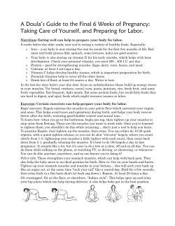 A Doula`s Guide to the Final 6 Weeks of Pregnancy