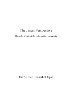 The Japan Perspective