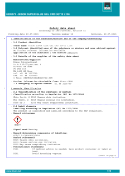 Safety data sheet 6305573 - BISON SUPER GLUE GEL CRD 3G*12