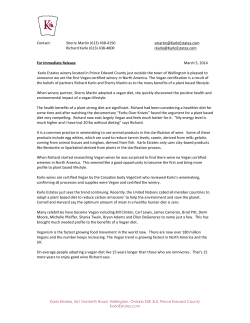 Dispite the rain, the Second Annual Countypalooza