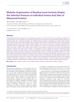 Modular organization of residue-level contacts shape the selection
