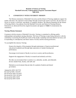 BSN, Nursing Assessment Report 2010
