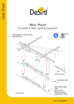 Mini Hoist