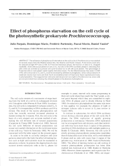 Full text in pdf format