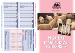 STANDARD CARCASE CONVERSION FACTOR GRID WEIGHT